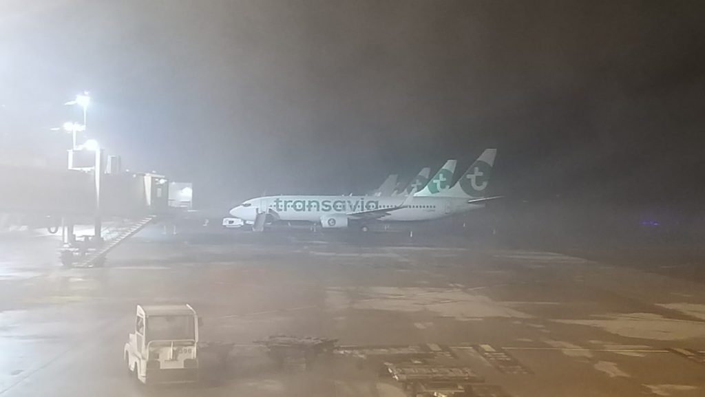 3 Boeing 737-800 de Transavia France sous la brume